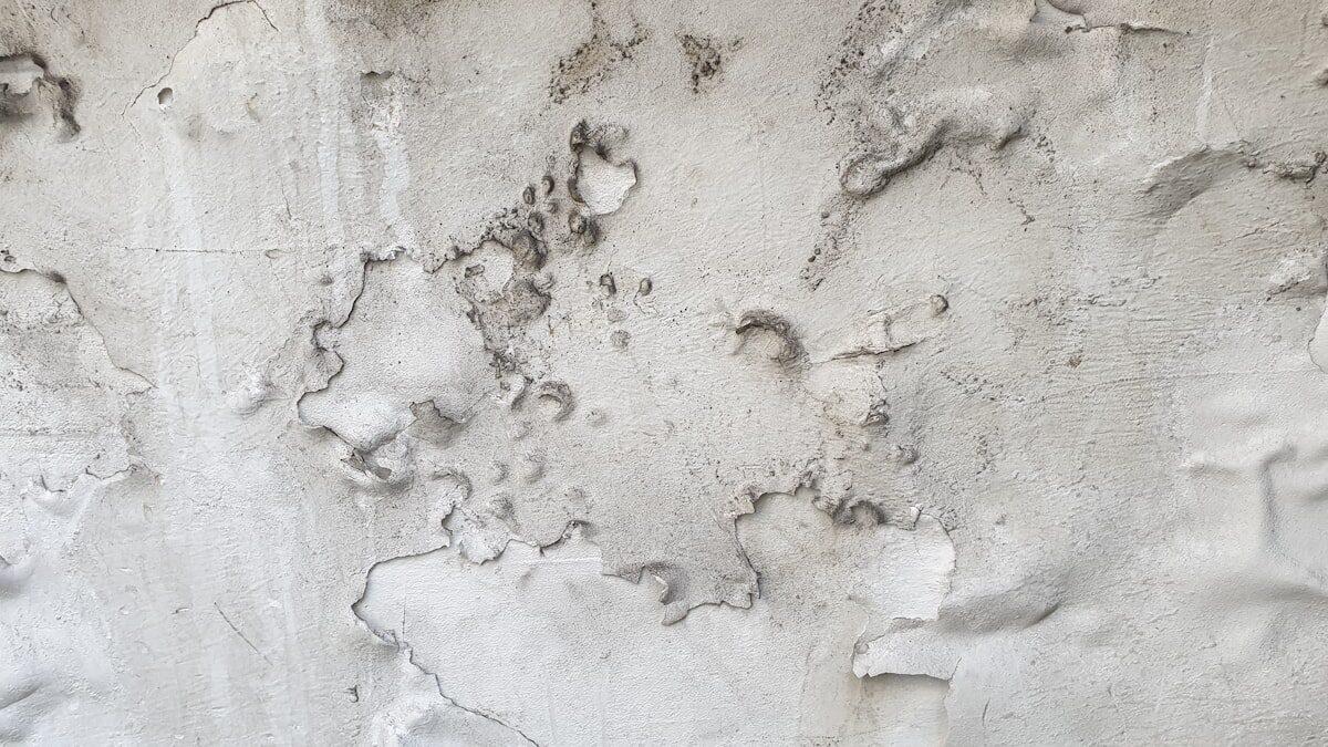 Dark mold growth on a wall surface requiring professional mold remediation