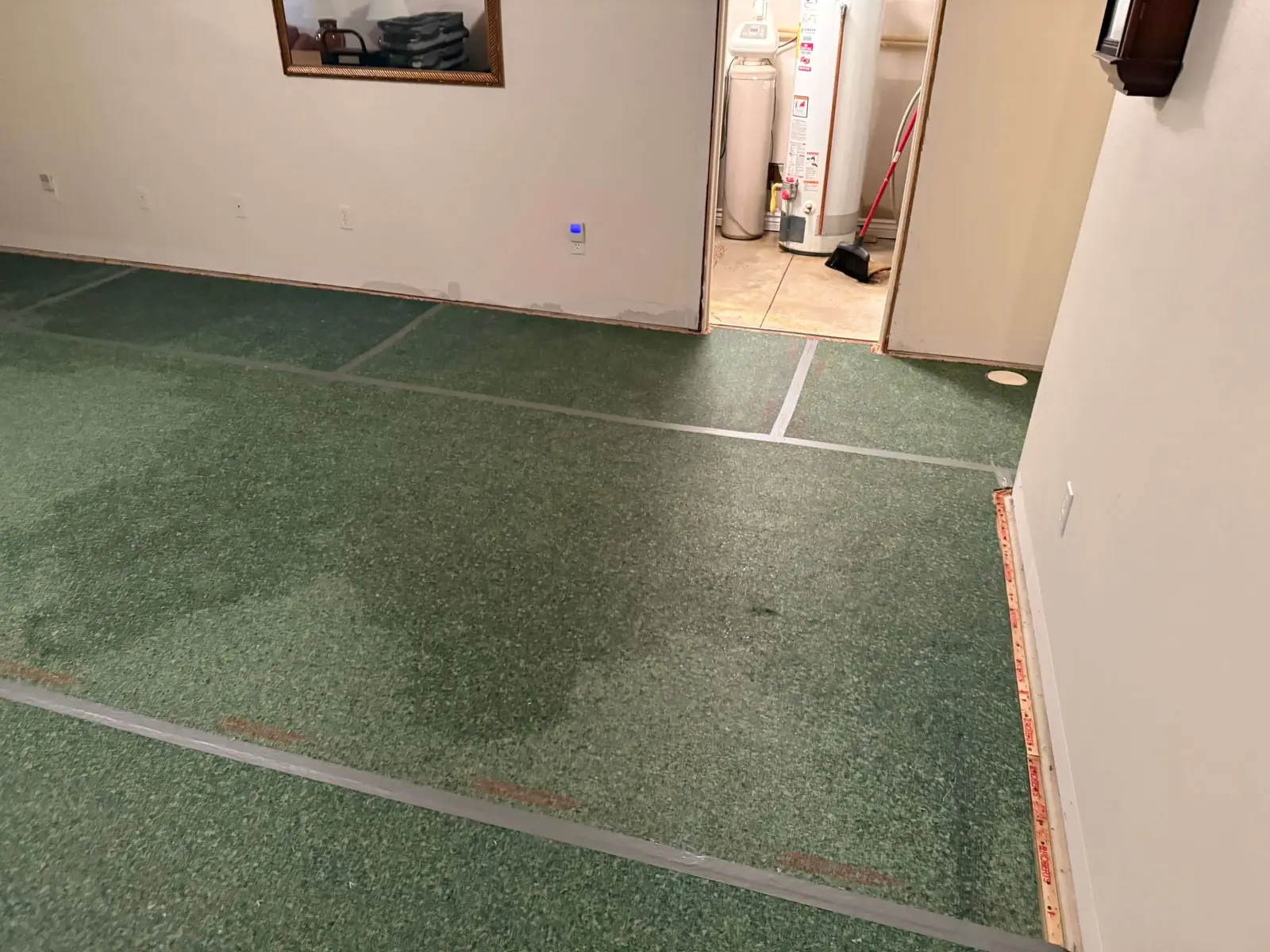 mold removal services