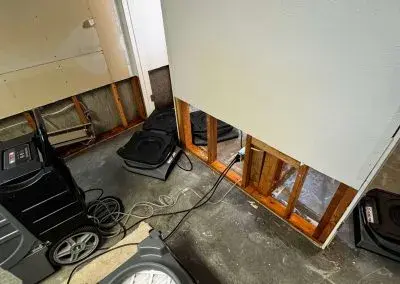 Black mold removal from basement walls Idaho Falls