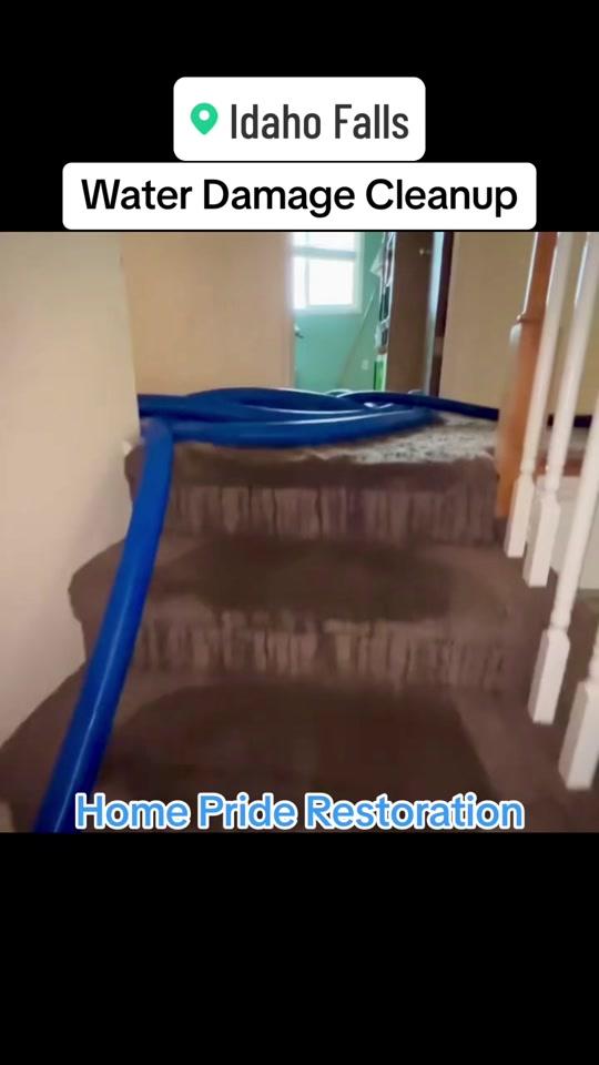 Call us with all your needs for water or mold damage. We offer free e...